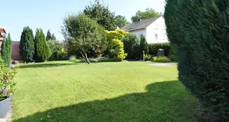 von_poll_real_estate_property_25040024_image_16