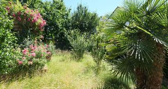 von_poll_real_estate_property_2504026_image_9