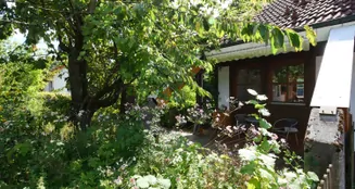 von_poll_real_estate_property_25040035_image_14