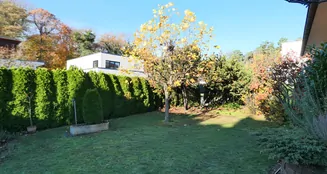 von_poll_real_estate_property_25040047_image_15