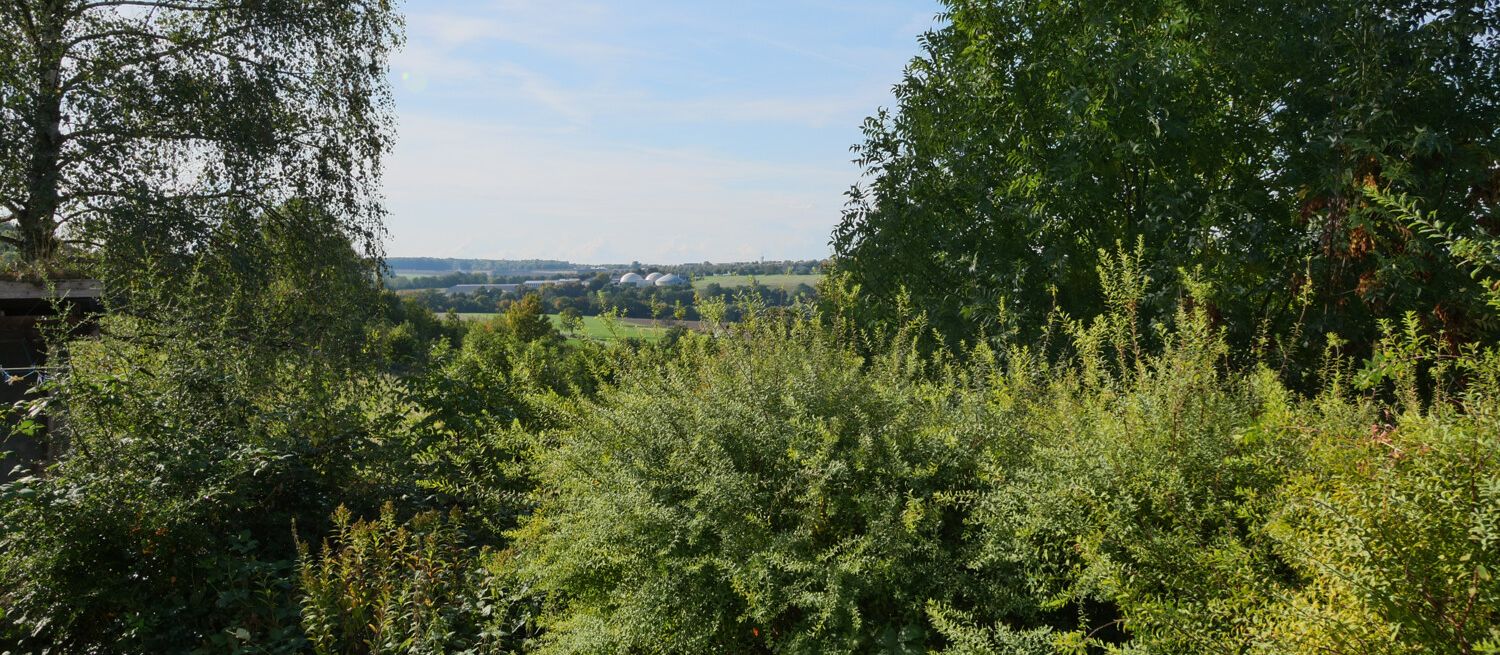 Ausblick