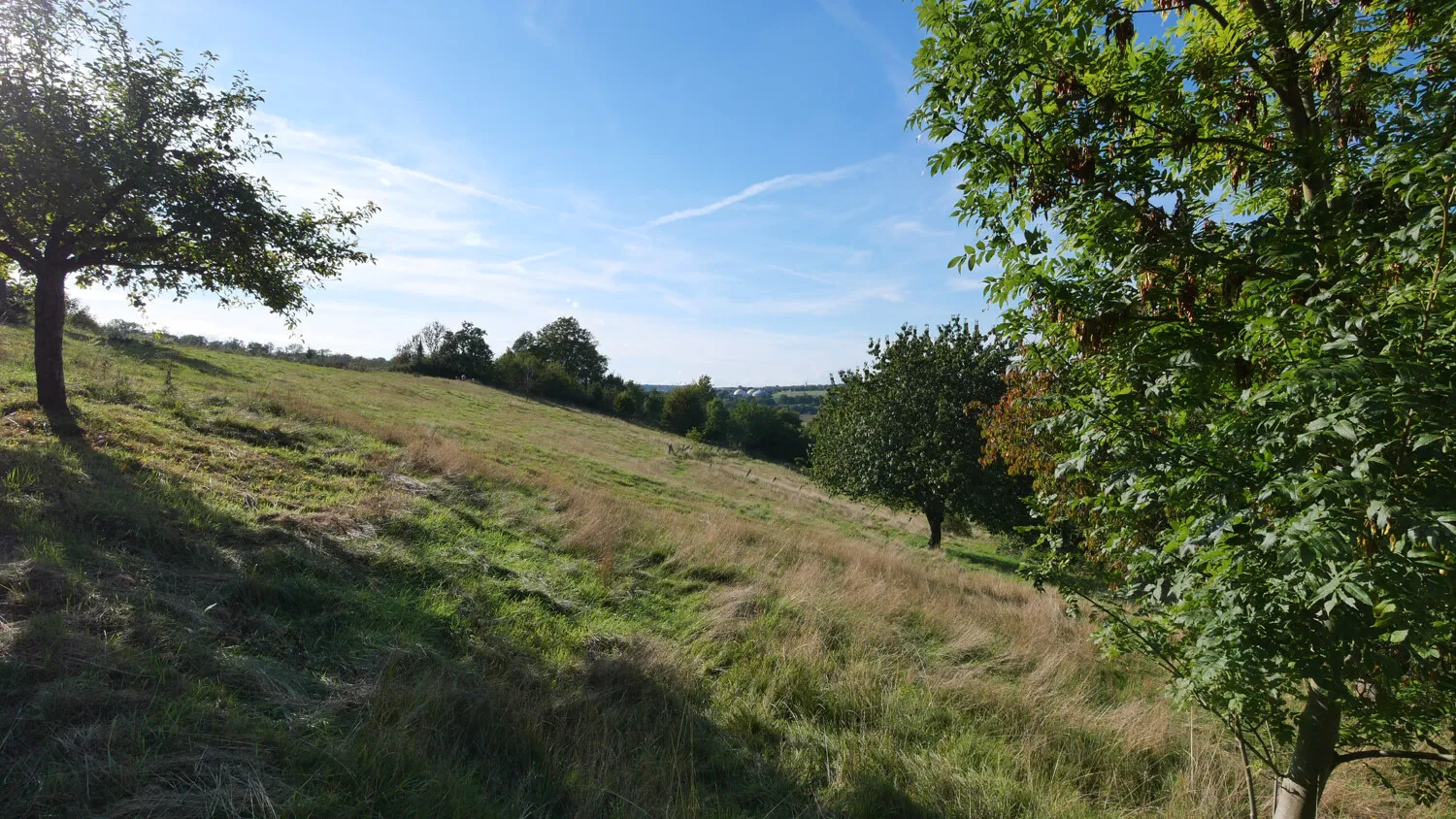 Angrenzende Grünfläche