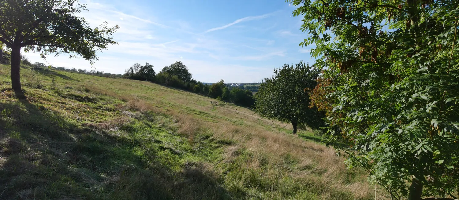 Angrenzende Grünfläche