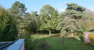 von_poll_real_estate_property_25040043_image_8