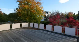 von_poll_real_estate_property_25040043_image_9