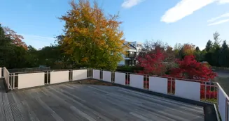 von_poll_real_estate_property_25040043_image_14