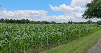 von_poll_real_estate_property_25040050_image_2