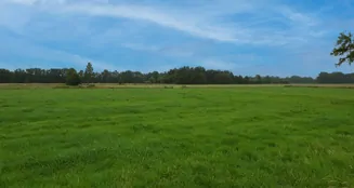 von_poll_real_estate_property_25040050_image_0