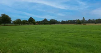 von_poll_real_estate_property_25040050_image_1