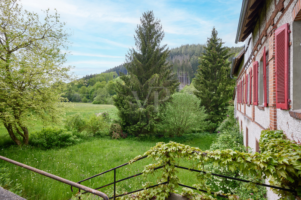 Blick in den Garten