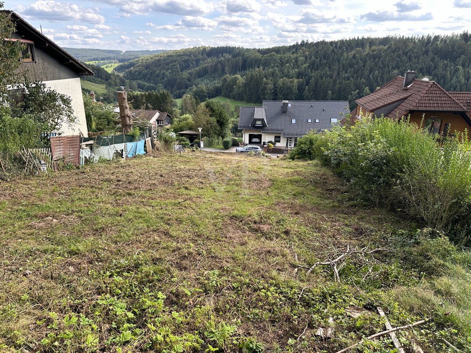 Ansicht vom oberen Teil des Grundstücks