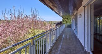 von_poll_real_estate_property_25177012_image_12