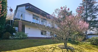 von_poll_real_estate_property_25177012_image_4