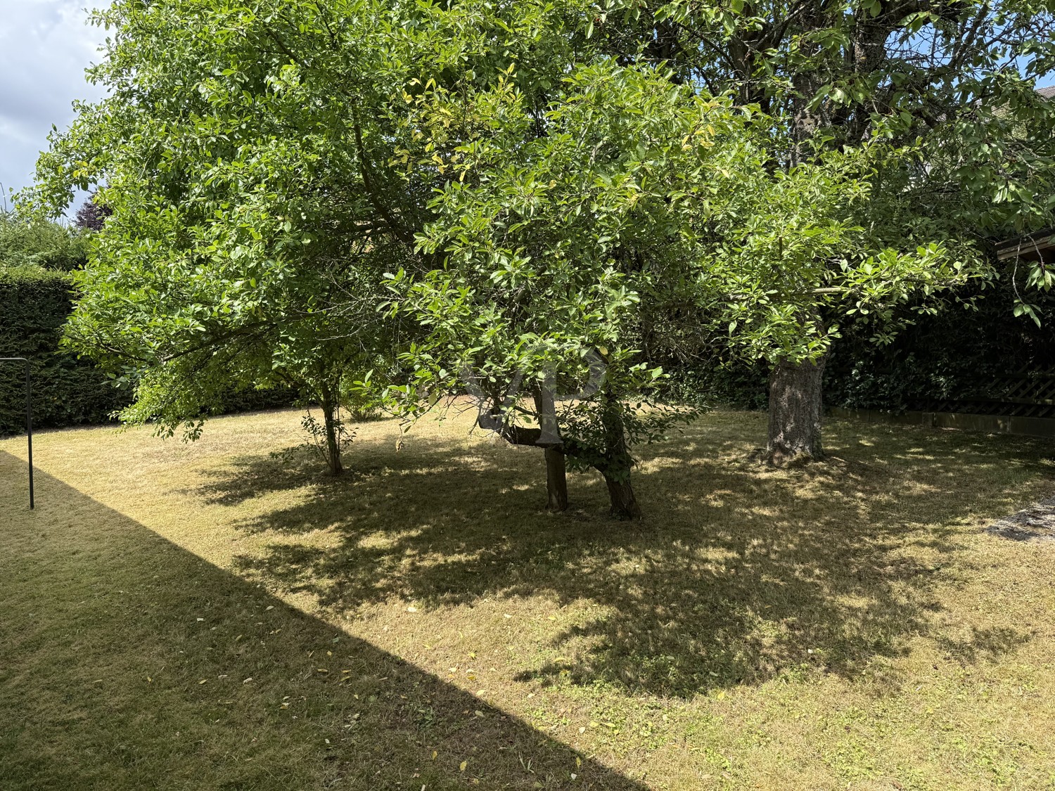 Garten_Seitansicht