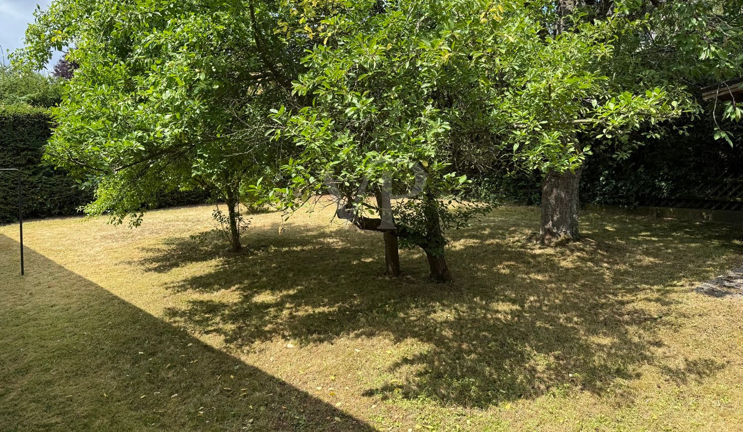Garten_Seitansicht