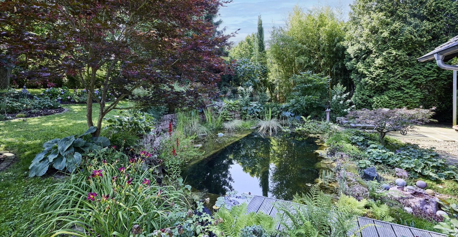 Schwimmteich