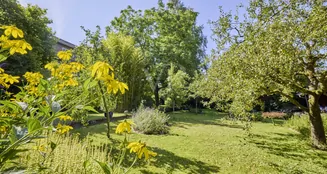 von_poll_real_estate_property_25177021_image_26