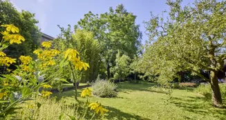 von_poll_real_estate_property_25177021_image_25