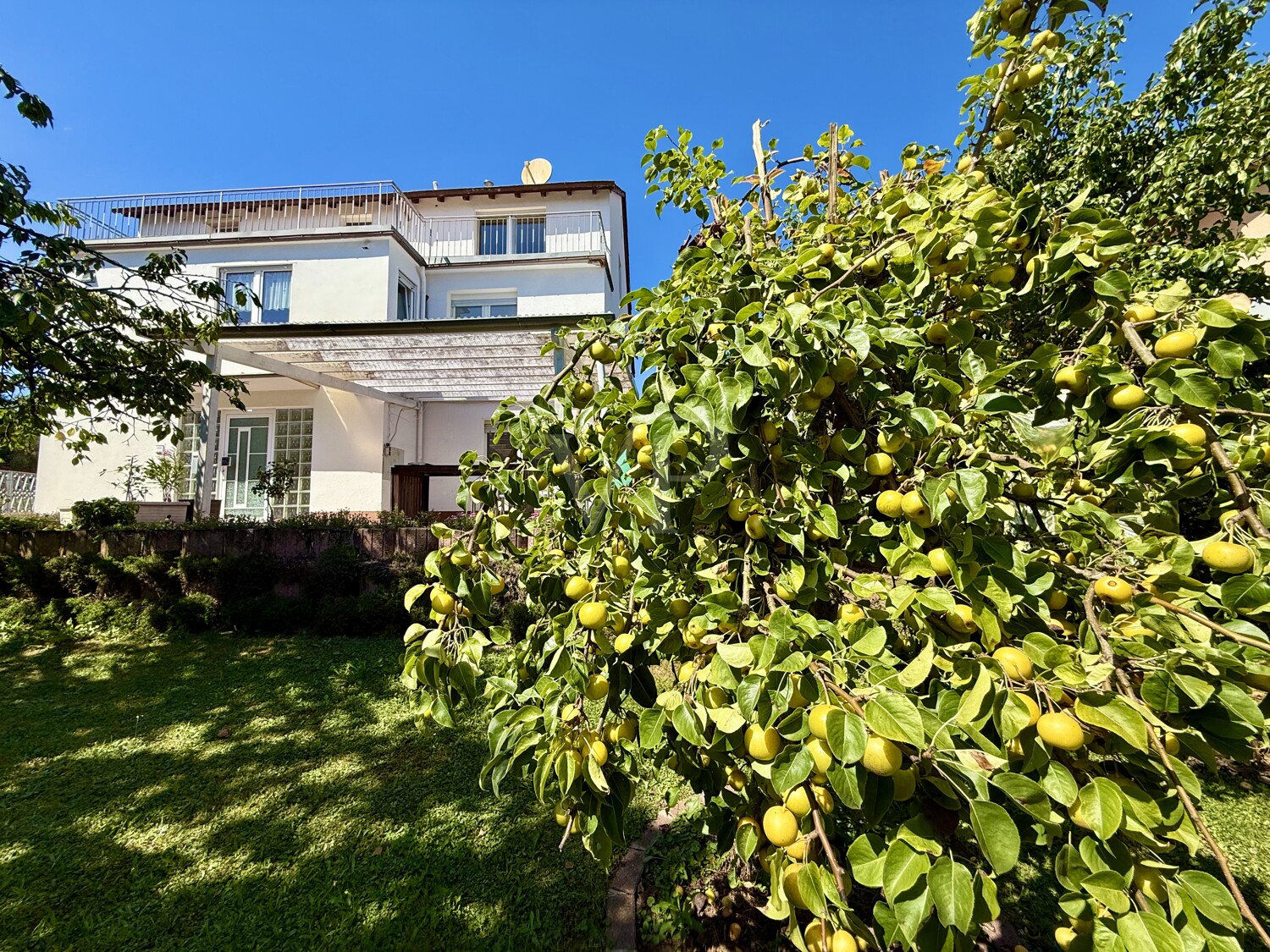 Hausansicht hinten