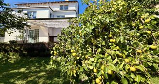 von_poll_real_estate_property_25177024_image_29