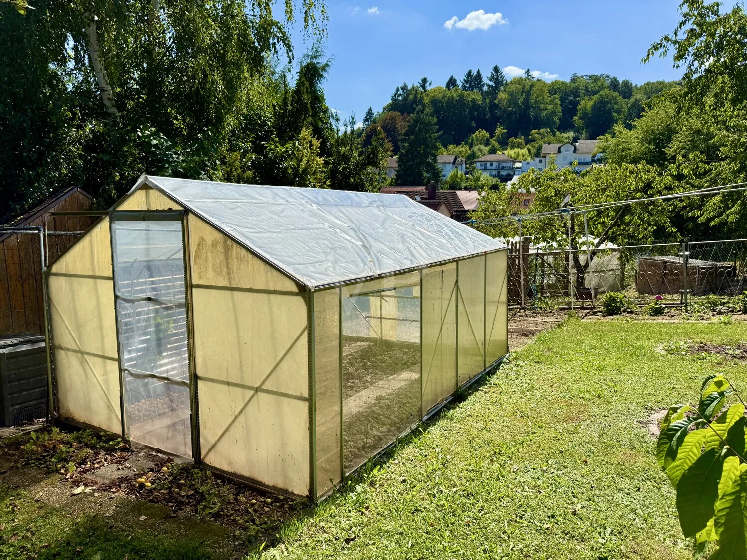 Garten/ Gewächshaus