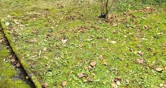 von_poll_real_estate_property_25179063_image_20