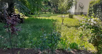 von_poll_real_estate_property_25179063_image_19