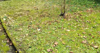 von_poll_real_estate_property_25179068_image_20