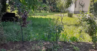 von_poll_real_estate_property_25179068_image_21