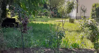 von_poll_real_estate_property_25179068_image_21