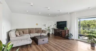 von_poll_real_estate_property_25199024_image_6