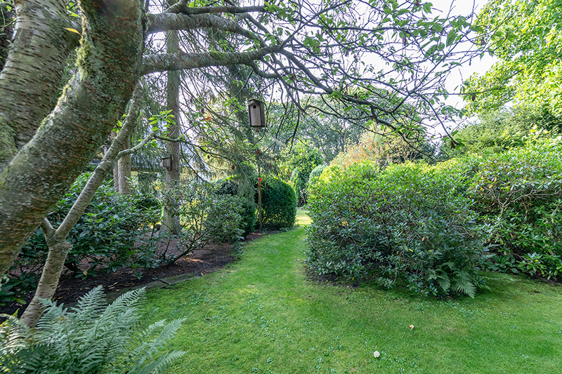 Blick zurück in den vorderen Garten