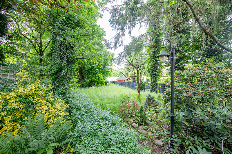 Charmanter Altbau auf großem Westgrundstück – Sanierung oder Neubau möglich