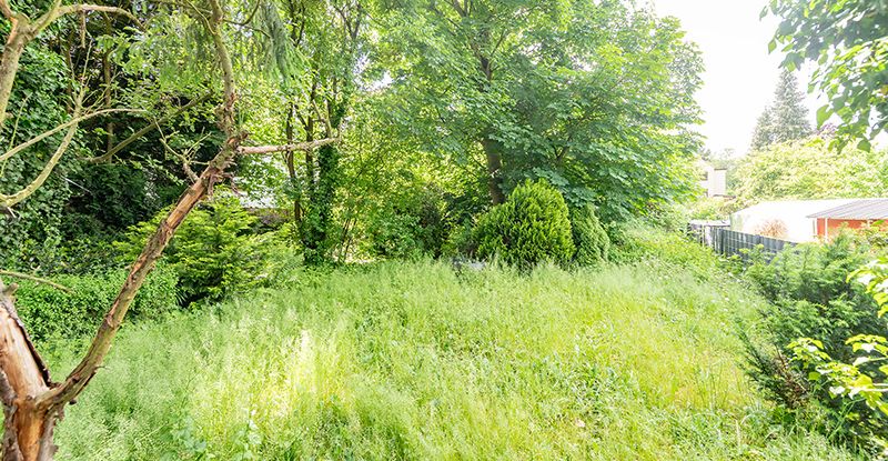 Charmanter Altbau auf großem Westgrundstück – Sanierung oder Neubau möglich