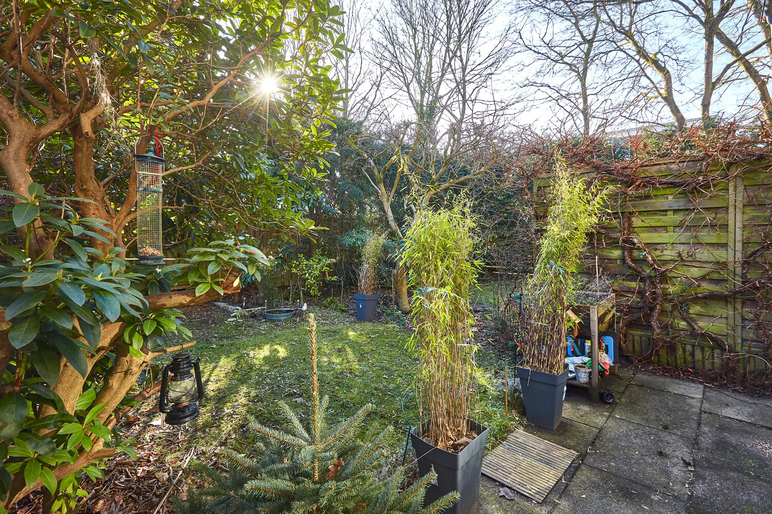 Terrasse mit Garten
