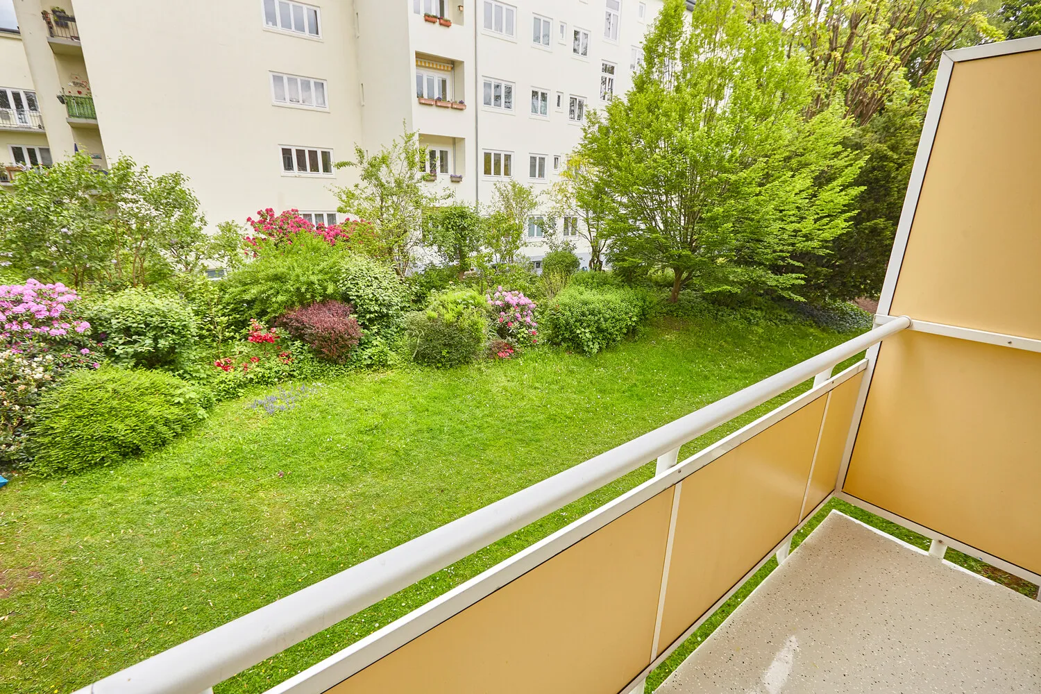 ... und Blick in den gemeinschaftlichen Garten