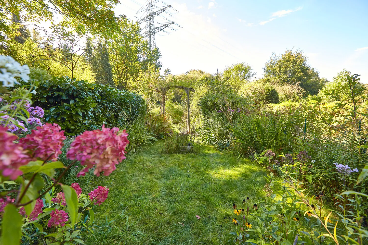 Blick in den Garten