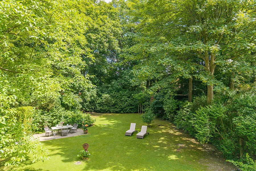 Garten mit angrenzendem Wald