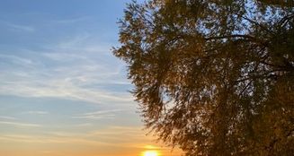 von_poll_real_estate_property_25031015_image_20