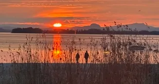 von_poll_real_estate_property_25031015_image_35