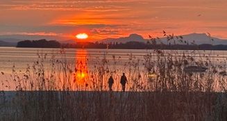 von_poll_real_estate_property_25031015_image_21