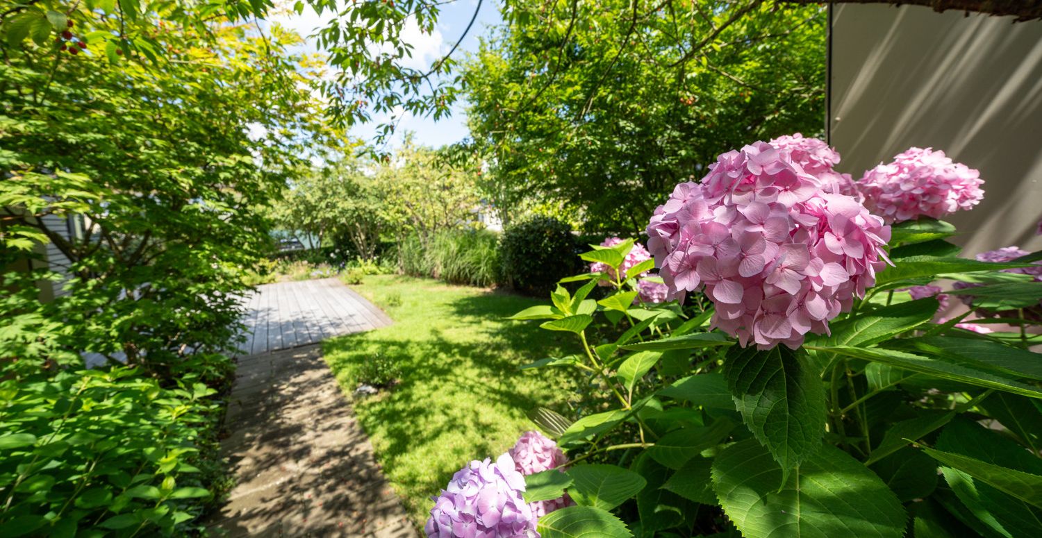 Blühender Garten