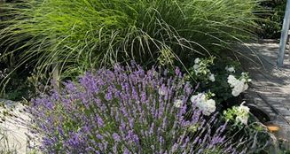von_poll_real_estate_property_25031015_image_16