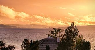 von_poll_real_estate_property_25031029_image_27