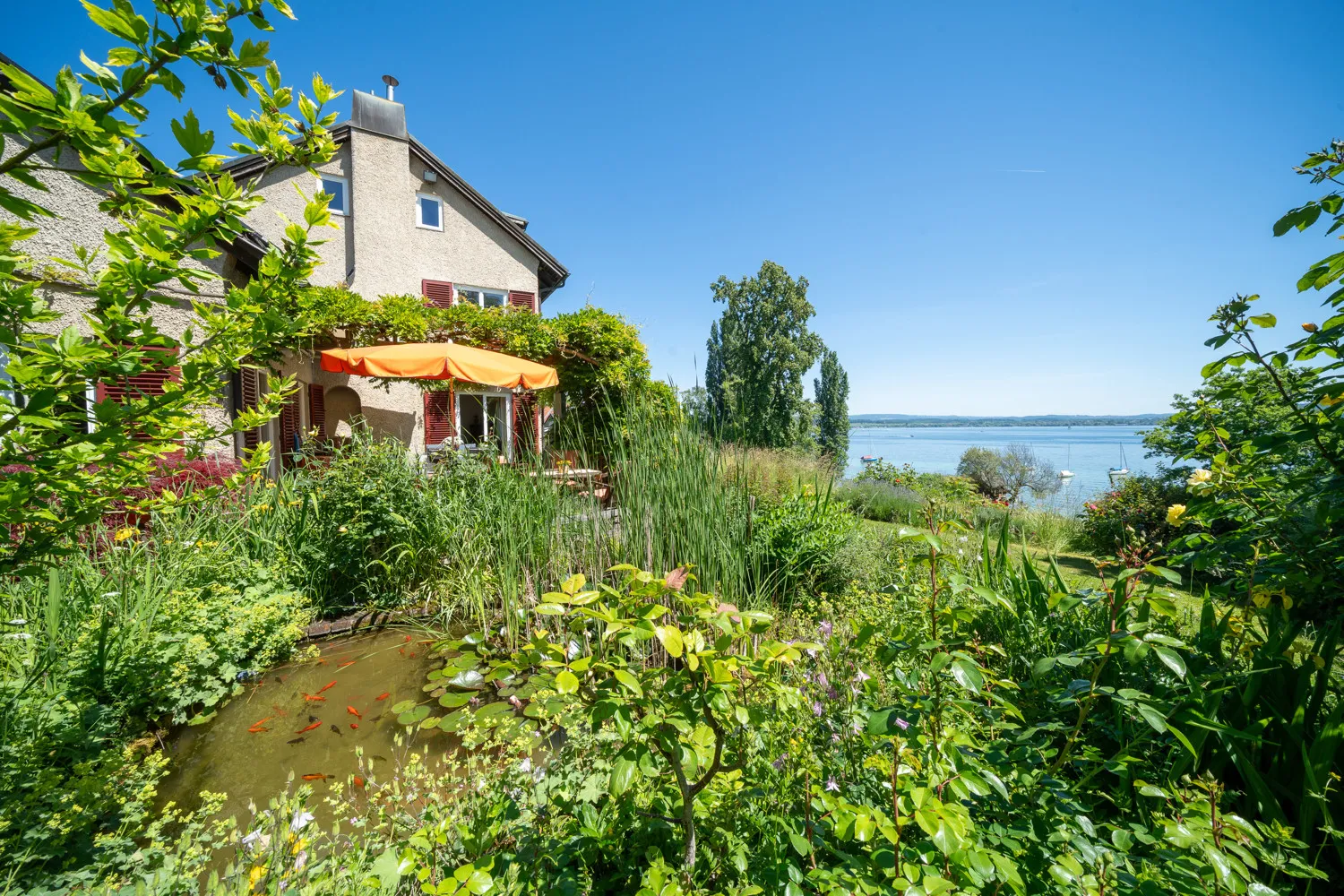Idyllischer Teich_Weitsicht
