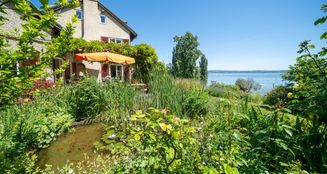 von_poll_real_estate_property_25031013_image_4