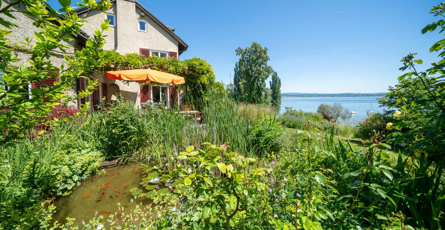 Idyllischer Teich_Weitsicht