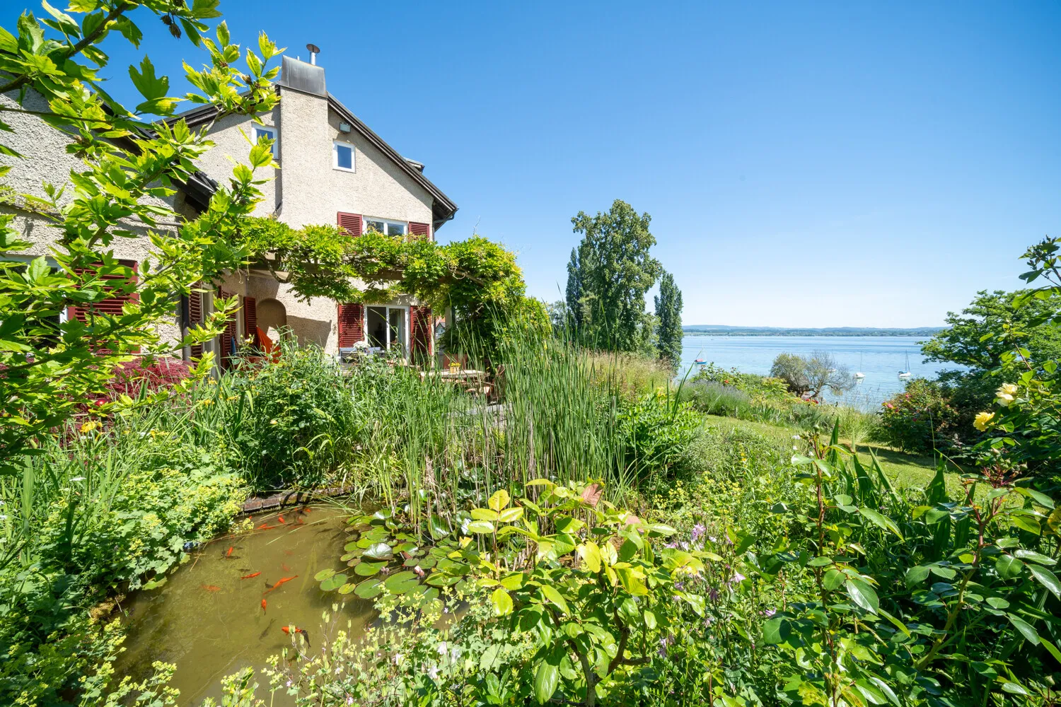 Garten_Teich