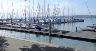 von_poll_real_estate_property_25031038_image_2