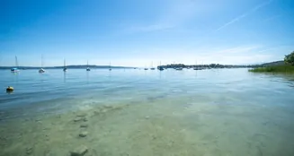 von_poll_real_estate_property_25031035_image_28